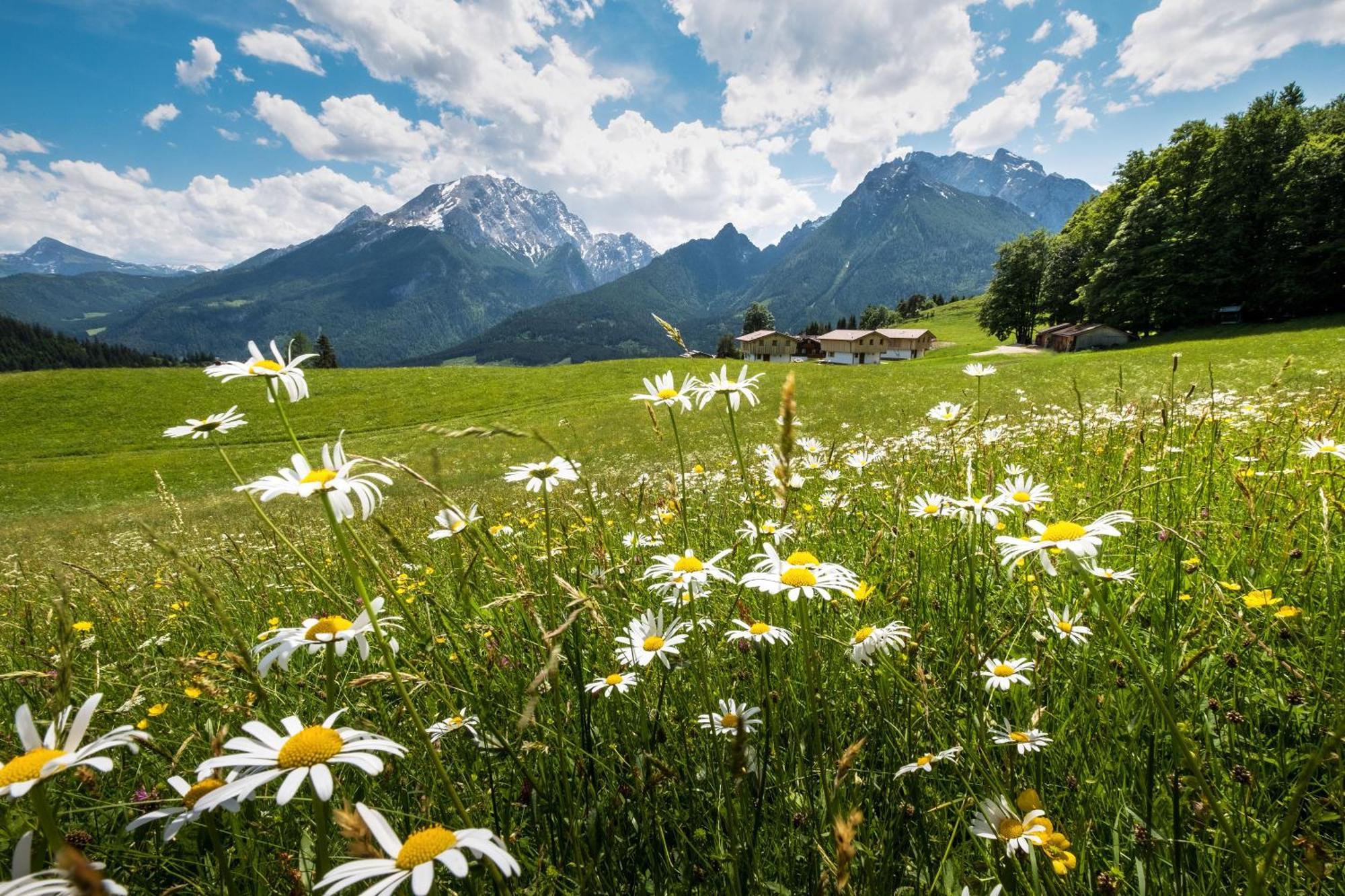 Ettlerlehen Chalets راماسو المظهر الخارجي الصورة